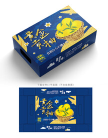 黄金贡柚包装