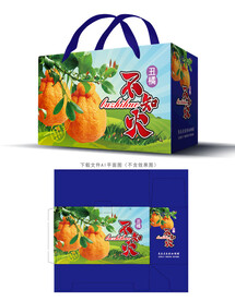 丑橘包装 