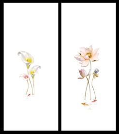 高清分层透明底淋浴房打印图