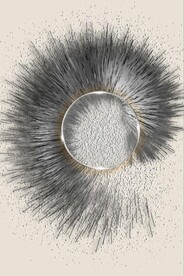 光影抽象黑白花纹玄关装饰画