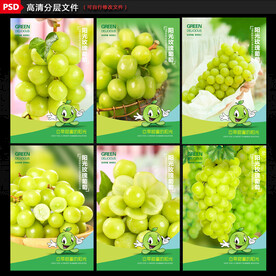 阳光玫瑰海报