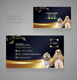 宠物名片设计