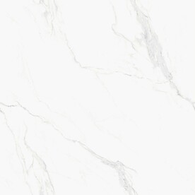爵士白 鱼肚白高清大理石瓷砖