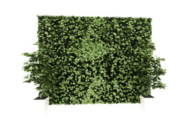 植物藤蔓墙3d模型