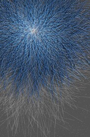 光影抽象蓝色线条玄关装饰画