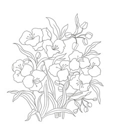 花卉线稿