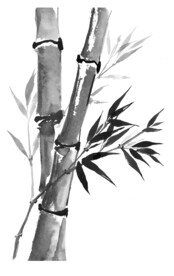 高清分层透明底平开门打印图