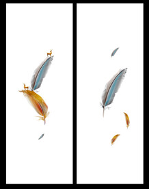 高清分层透明底推拉门打印图