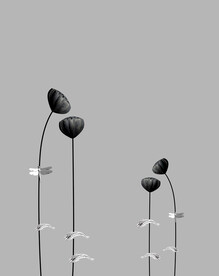 高清分层透明底推拉门打印图