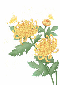 节日元素立秋元素菊花黄色手绘