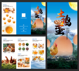 农家土鸡蛋促销宣传三折页