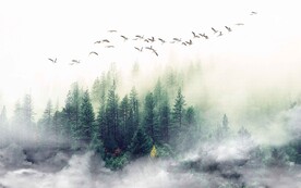 迷雾山水风景画背景墙