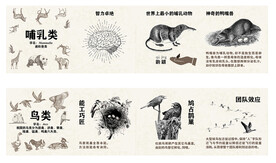 动物支援解说 哺乳 鸟类