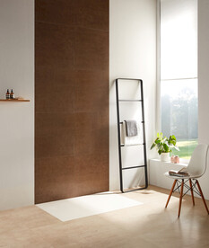 浴室空间 花洒场景图