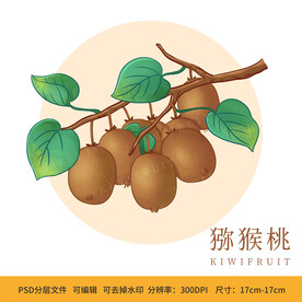 手绘猕猴桃水果包装插画