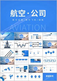 蓝色大气航空公司ppt