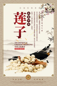 莲子中药海报