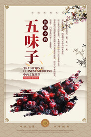 五味子中药海报