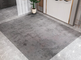 俯视客厅场景地毯空景