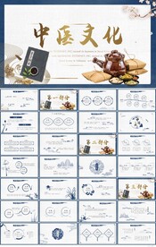 中医文化工作总结汇报计划PPT