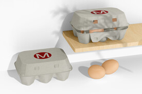 包装长方形鸡蛋盒样机PSD模型