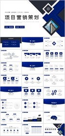 项目营销策划PPT