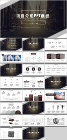 项目介绍PPT