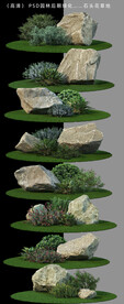 园林花圃石景