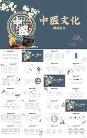 中医文化宣传介绍工作总结PPT