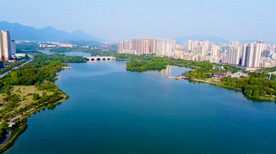 清远3000亩飞来湖湿地公园航