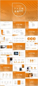 个人工作总结汇报PPT