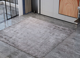 客厅空场景 地毯背景