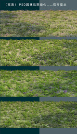 草地素材