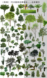  后期树木素材  