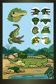 矢量鳄鱼系列