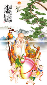 老寿星