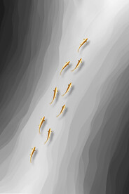 水墨九鱼图抽象线条装饰画背景