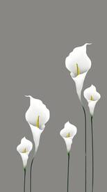 高清分层透明底推拉门打印图