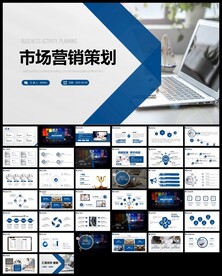 市场项目营销策划PPT
