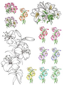 矢量AI百合花插画