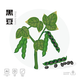 黑豆 插画