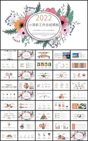 彩绘花卉工作总结述职报告ppt