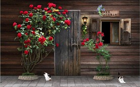 欧美田园风家居场景背景墙壁画