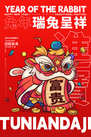 兔年插画海报