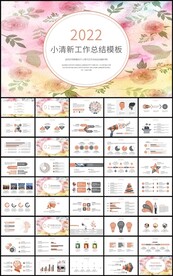 彩绘花卉工作总结述职报告ppt