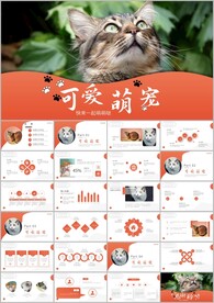 可爱萌宠猫咪宠物医院宠物ppt