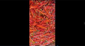 炒火锅底料合集竖版