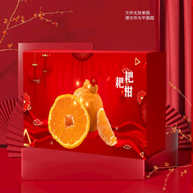 粑粑柑包装 水果礼盒