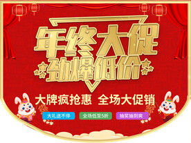 年中大促