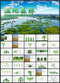 湿地环境保护生态森林业PPT